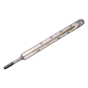 CLINICAL THERMOMETER