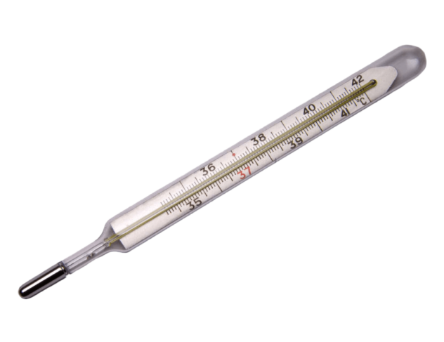 CLINICAL THERMOMETER