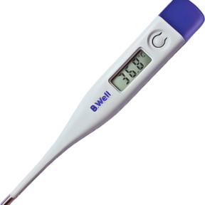 DIGITAL THERMOMETER